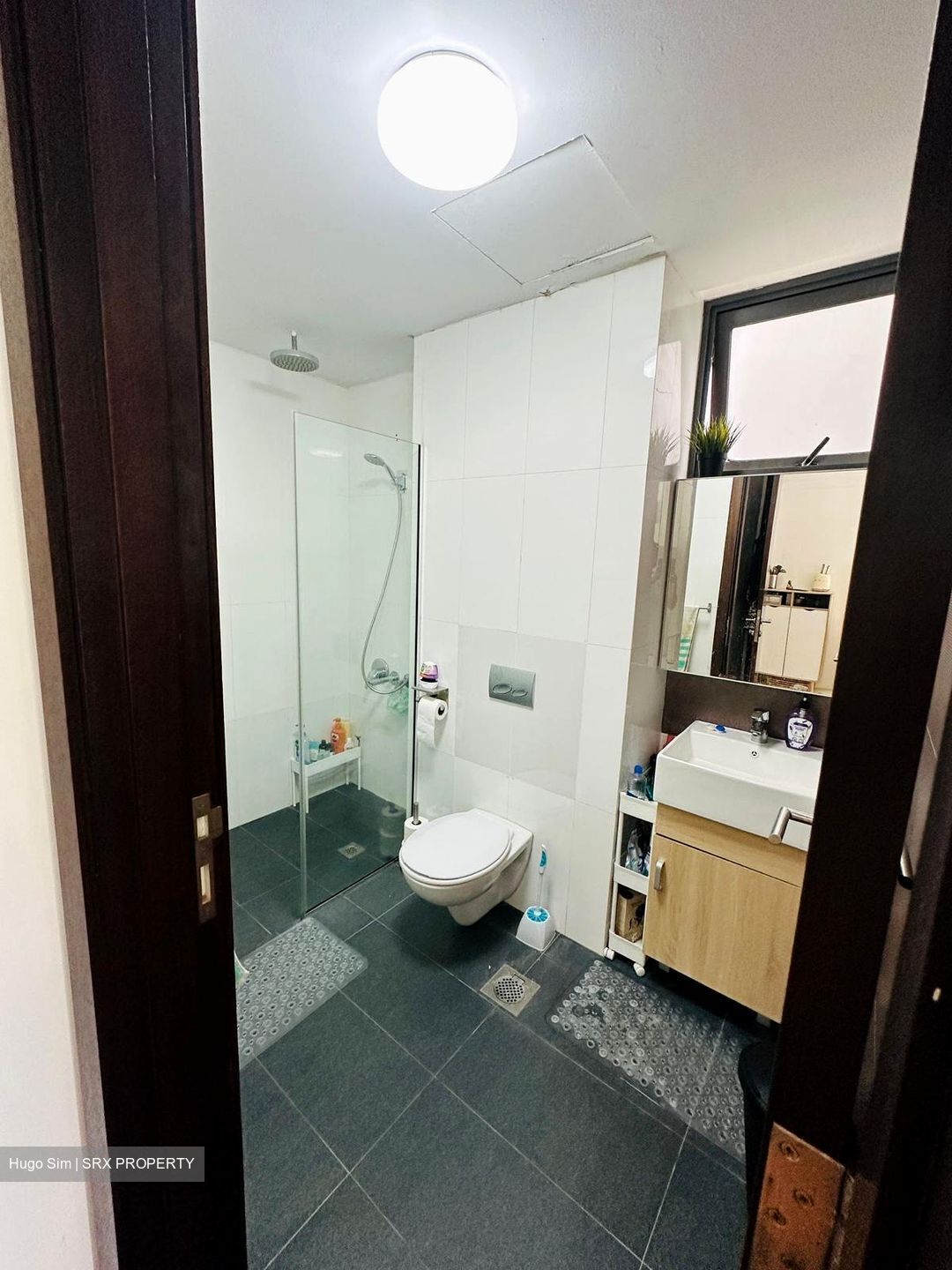 Axis @ Siglap (D15), Apartment #435072651